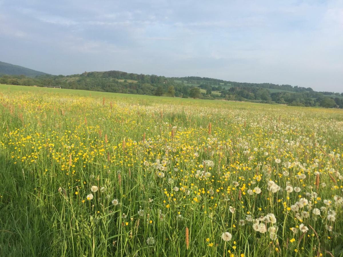 Fewo Haus Emma Og Löhnberg Esterno foto